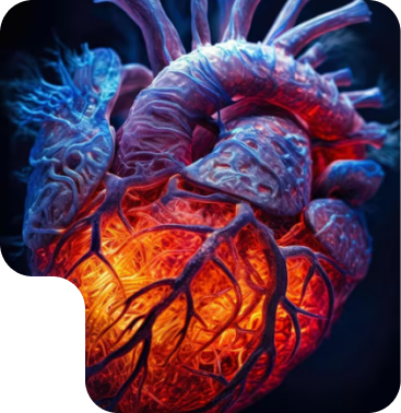 Heart Image